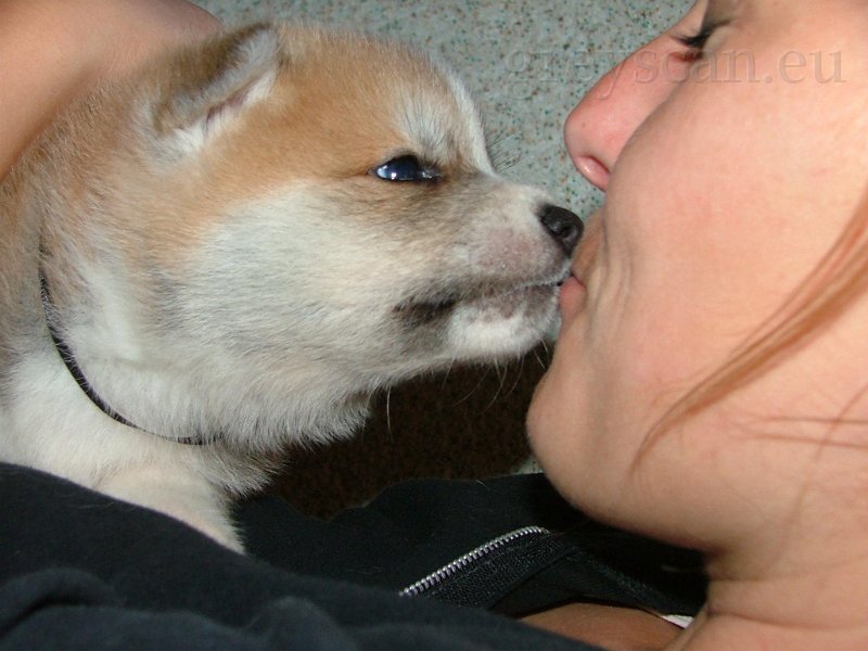 18 ty jsi moje panička.jpg